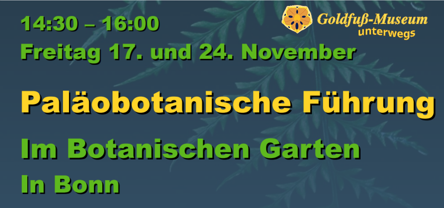 nachricht_paläobotanische_führung_botanischer_garten