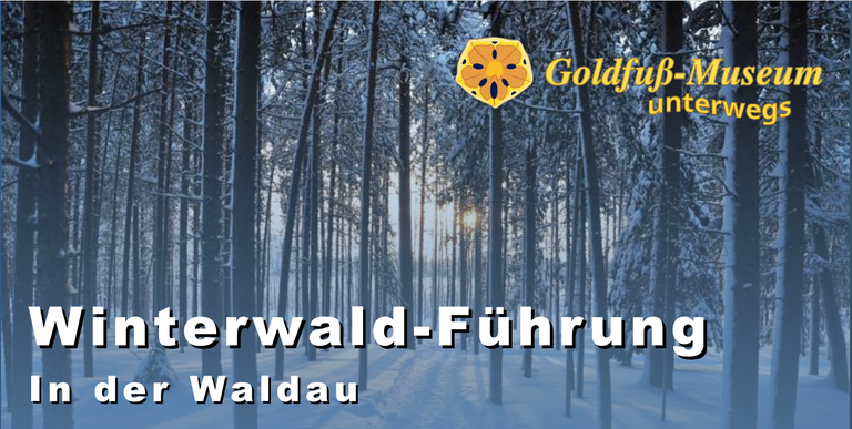 nachricht_winterwald_wanderung_waldau