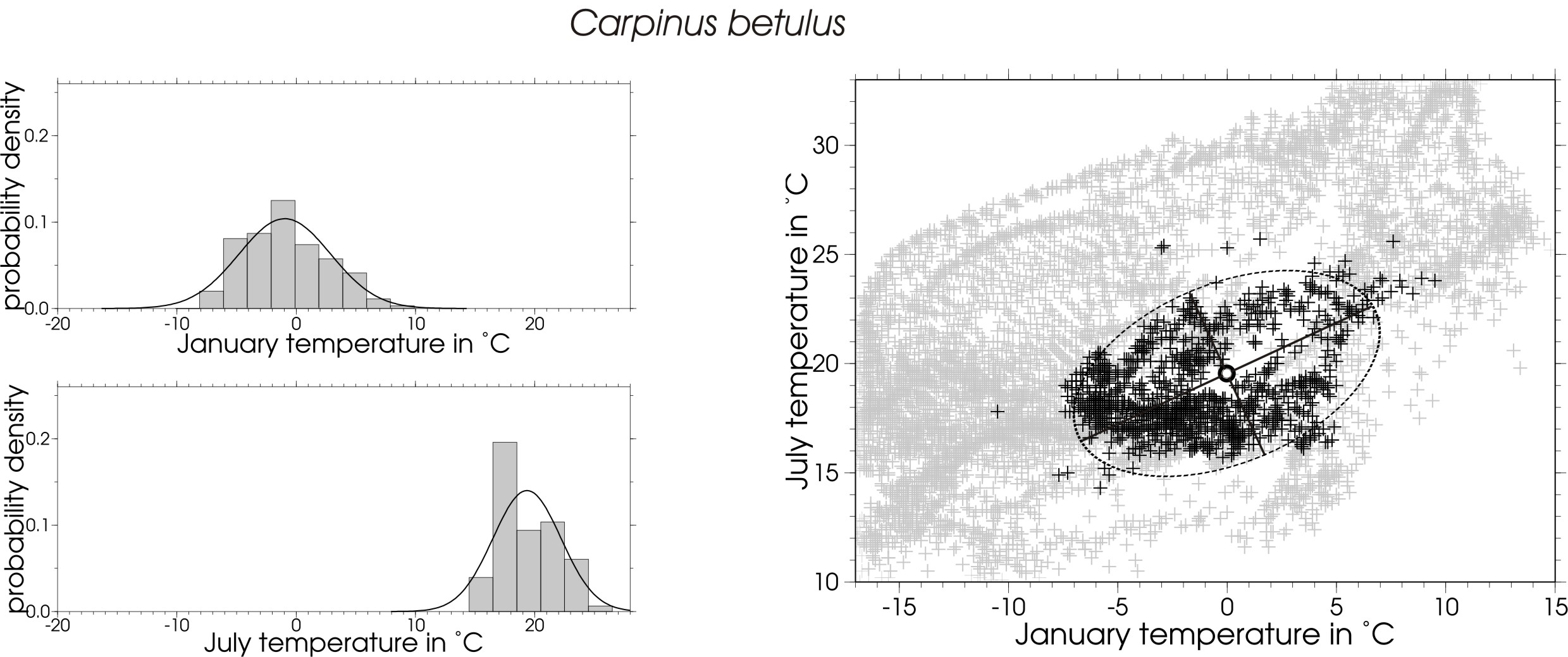 Abb. 1_Carpinus_pdf_aglitt_aglitt_.jpg