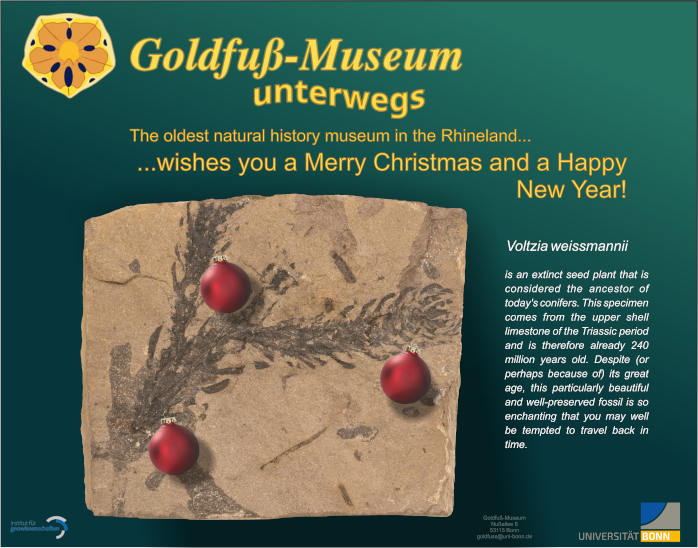 Weihnachtsposter webseite eng_kompr.png