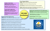 Internationaler Workshop zur Fossilisation 14. - 17.06.24