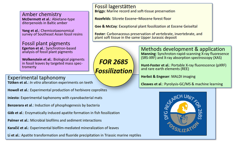 Internationaler Workshop zur Fossilisation 14. - 17.06.24