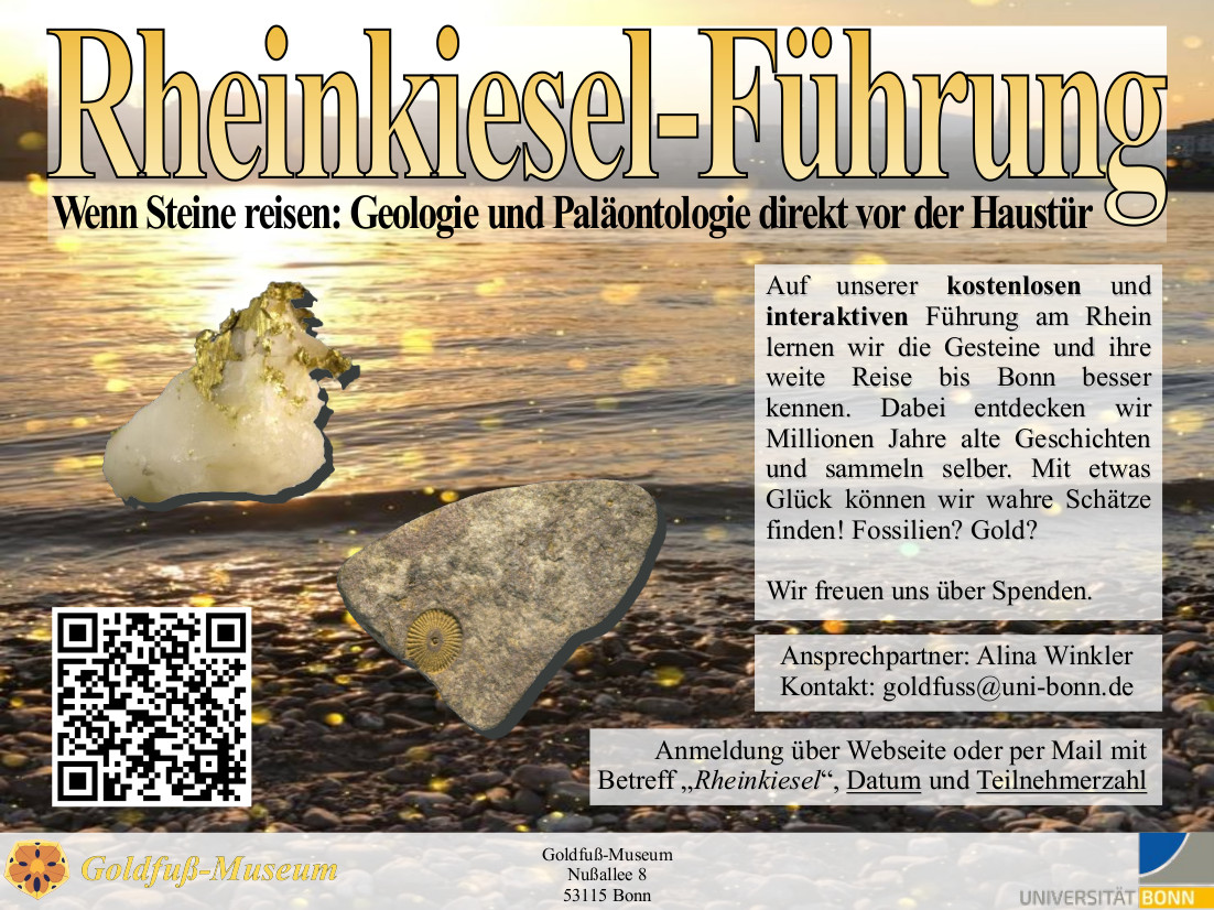 Rheinkiesel Führung