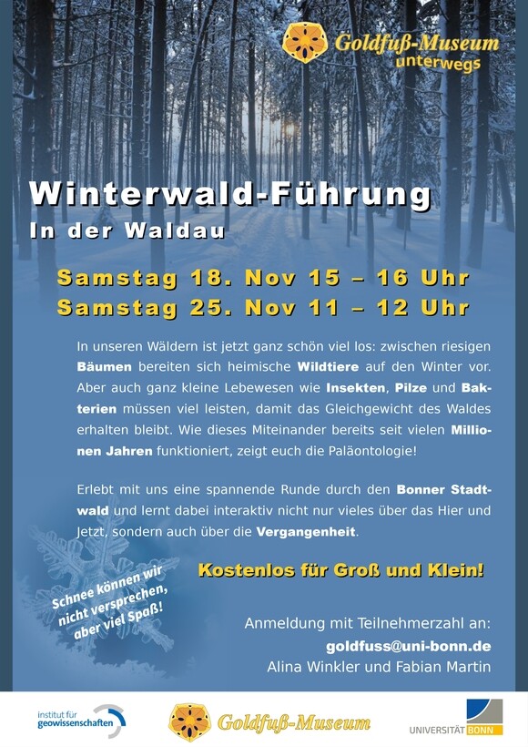 Newsletter_November23_aw_alina_winkler_Winterwald.jpeg